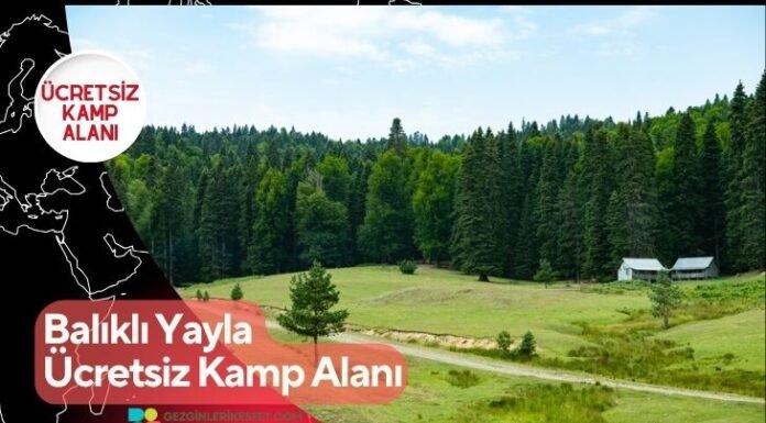 Balıklı Yayla Ücretsiz Kamp Alanı Balıklı Yayla Ücretsiz Kamp Alanı