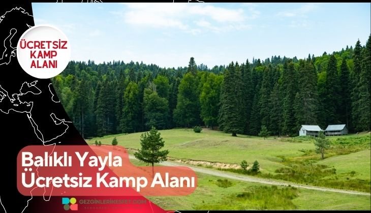 Balıklı Yayla Ücretsiz Kamp Alanı