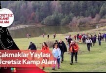 Çakmaklar Yaylası Ücretsiz Kamp Alanı Çakmaklar Yaylası Ücretsiz Kamp Alanı