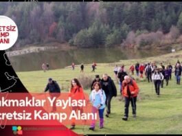 Çakmaklar Yaylası Ücretsiz Kamp Alanı