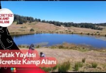 Çatak Yaylası Ücretsiz Kamp Alanı Çatak Yaylası Ücretsiz Kamp Alanı