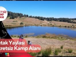 Çatak Yaylası Ücretsiz Kamp Alanı