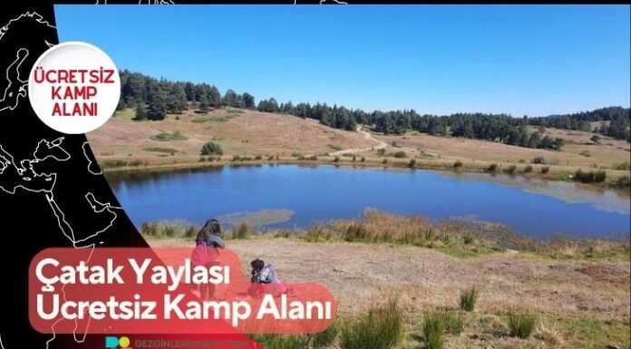 Çatak Yaylası Ücretsiz Kamp Alanı Çatak Yaylası Ücretsiz Kamp Alanı