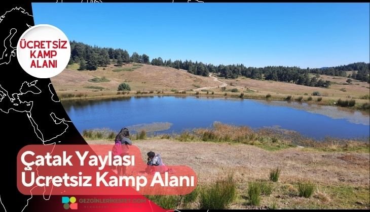 Çatak Yaylası Ücretsiz Kamp Alanı