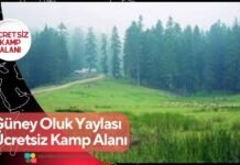 Güney Oluk Yaylası Ücretsiz Kamp Alanı Güney Oluk Yaylası Ücretsiz Kamp Alanı