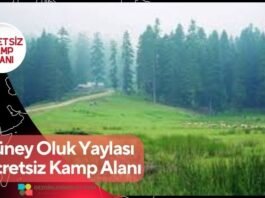 Güney Oluk Yaylası Ücretsiz Kamp Alanı