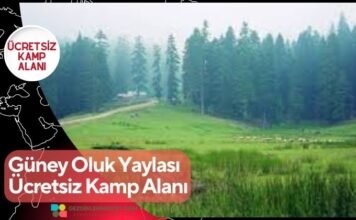 Güney Oluk Yaylası Ücretsiz Kamp Alanı Güney Oluk Yaylası Ücretsiz Kamp Alanı