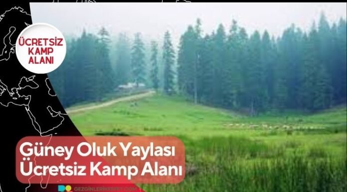 Güney Oluk Yaylası Ücretsiz Kamp Alanı Güney Oluk Yaylası Ücretsiz Kamp Alanı