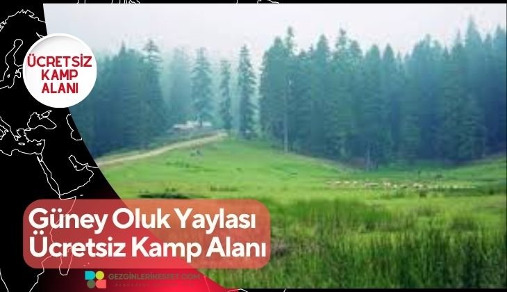 Güney Oluk Yaylası Ücretsiz Kamp Alanı