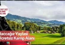 Haccağız Yaylası Ücretsiz Kamp Alanı Haccağız Yaylası Ücretsiz Kamp Alanı