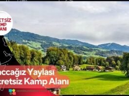 Haccağız Yaylası Ücretsiz Kamp Alanı
