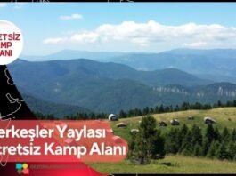 Merkeşler Yaylası Ücretsiz Kamp Alanı Merkeşler Yaylası Ücretsiz Kamp Alanı