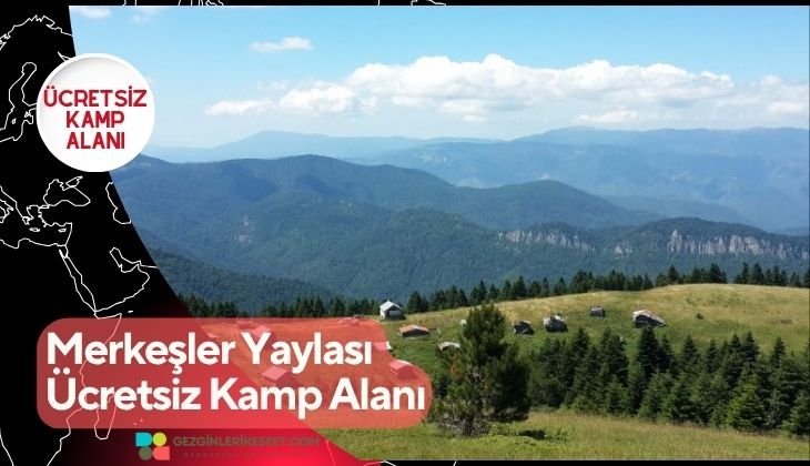 Merkeşler Yaylası Ücretsiz Kamp Alanı