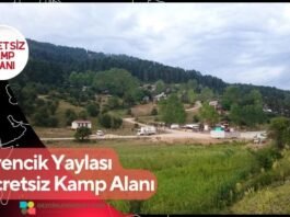 Örencik Yaylası Ücretsiz Kamp Alanı
