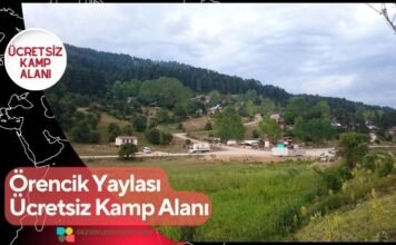 Örencik Yaylası Ücretsiz Kamp Alanı Örencik Yaylası Ücretsiz Kamp Alanı