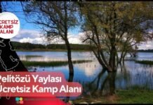 Pelitözü Yaylası Ücretsiz Kamp Alanı Pelitözü Yaylası Ücretsiz Kamp Alanı