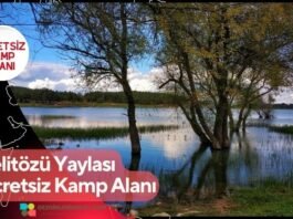 Pelitözü Yaylası Ücretsiz Kamp Alanı