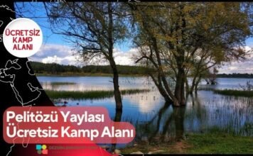 Pelitözü Yaylası Ücretsiz Kamp Alanı Pelitözü Yaylası Ücretsiz Kamp Alanı