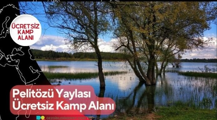 Pelitözü Yaylası Ücretsiz Kamp Alanı Pelitözü Yaylası Ücretsiz Kamp Alanı