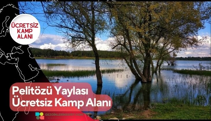 Pelitözü Yaylası Ücretsiz Kamp Alanı