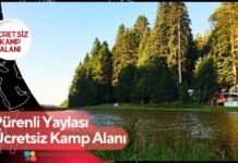 Pürenli Yaylası Ücretsiz Kamp Alanı Pürenli Yaylası Ücretsiz Kamp Alanı
