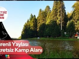 Pürenli Yaylası Ücretsiz Kamp Alanı