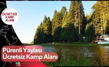 Pürenli Yaylası Ücretsiz Kamp Alanı Pürenli Yaylası Ücretsiz Kamp Alanı
