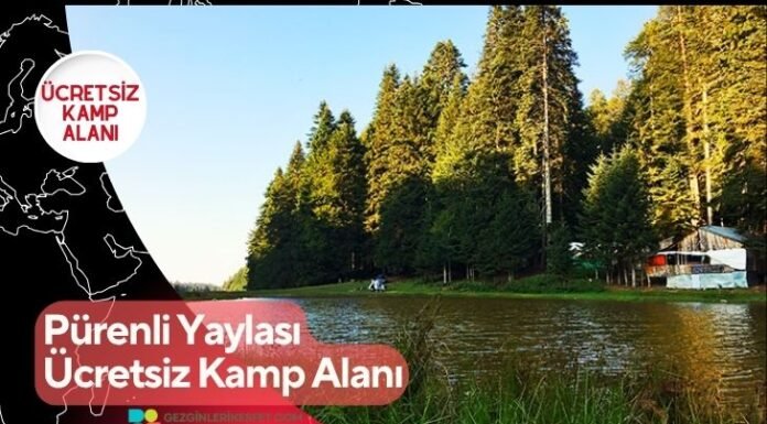 Pürenli Yaylası Ücretsiz Kamp Alanı Pürenli Yaylası Ücretsiz Kamp Alanı