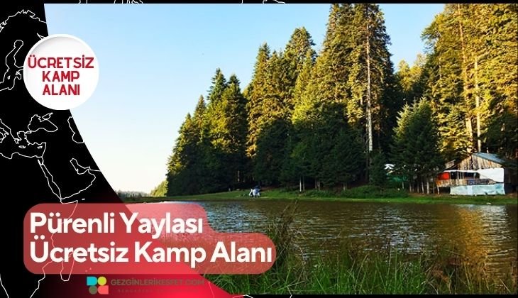 Pürenli Yaylası Ücretsiz Kamp Alanı Pürenli Yaylası Ücretsiz Kamp Alanı