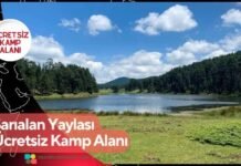 Sarıalan Yaylası Ücretsiz Kamp Alanı Sarıalan Yaylası Ücretsiz Kamp Alanı