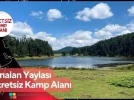 Sarıalan Yaylası Ücretsiz Kamp Alanı