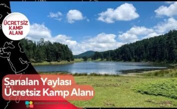 Sarıalan Yaylası Ücretsiz Kamp Alanı Sarıalan Yaylası Ücretsiz Kamp Alanı