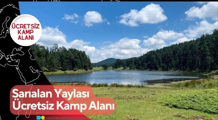 Sarıalan Yaylası Ücretsiz Kamp Alanı Sarıalan Yaylası Ücretsiz Kamp Alanı