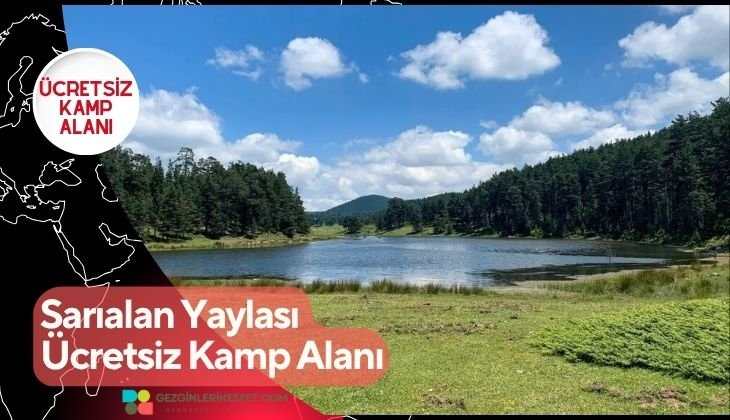 Sarıalan Yaylası Ücretsiz Kamp Alanı