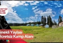 Sinekli Yaylası Ücretsiz Kamp Alanı Sinekli Yaylası Ücretsiz Kamp Alanı