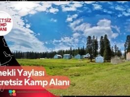 Sinekli Yaylası Ücretsiz Kamp Alanı