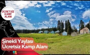 Sinekli Yaylası Ücretsiz Kamp Alanı Sinekli Yaylası Ücretsiz Kamp Alanı