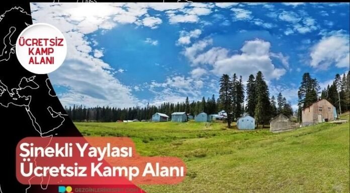 Sinekli Yaylası Ücretsiz Kamp Alanı Sinekli Yaylası Ücretsiz Kamp Alanı