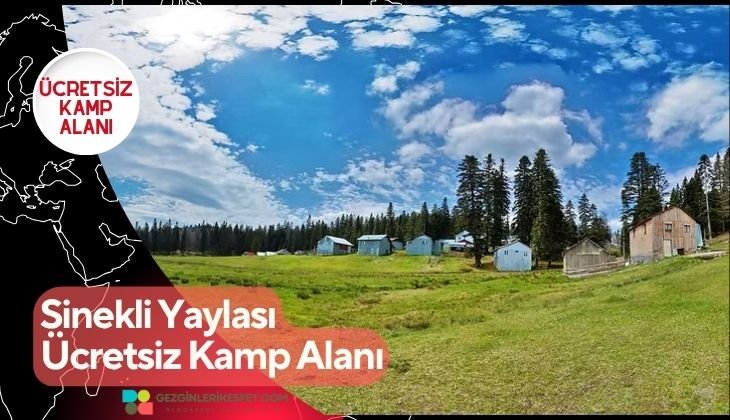 Sinekli Yaylası Ücretsiz Kamp Alanı