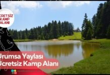 Urumsa Yaylası Ücretsiz Kamp Alanı Urumsa Yaylası Ücretsiz Kamp Alanı