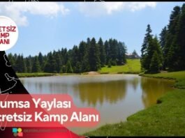 Urumsa Yaylası Ücretsiz Kamp Alanı