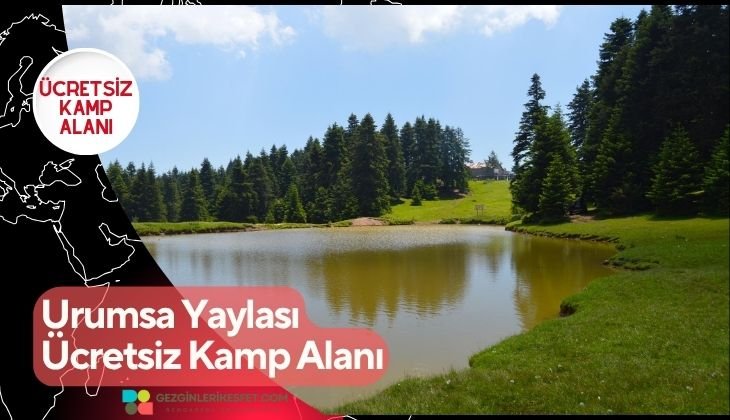 Urumsa Yaylası Ücretsiz Kamp Alanı