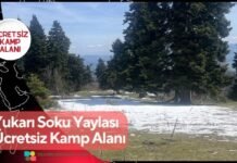 Yukarı Soku Yaylası Ücretsiz Kamp Alanı Yukarı Soku Yaylası Ücretsiz Kamp Alanı