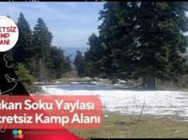 Yukarı Soku Yaylası Ücretsiz Kamp Alanı