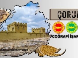 Çorum Coğrafi İşaretleri Ürünler Listesi