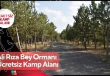 Ali Rıza Bey Ormanı Ücretsiz Kamp Alanı Ali Rıza Bey Ormanı Ücretsiz Kamp Alanı