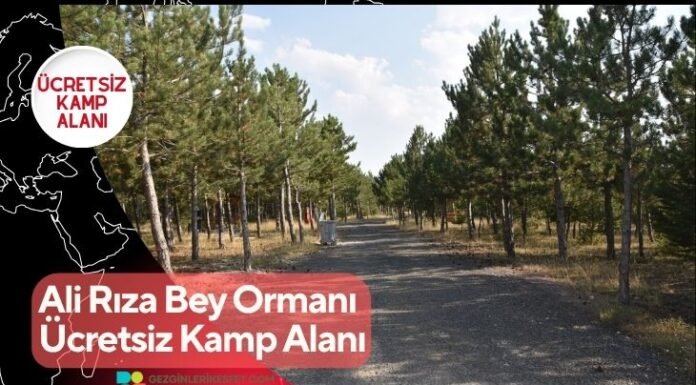 Ali Rıza Bey Ormanı Ücretsiz Kamp Alanı Ali Rıza Bey Ormanı Ücretsiz Kamp Alanı