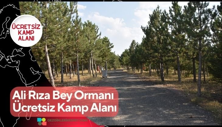 Ali Rıza Bey Ormanı Ücretsiz Kamp Alanı