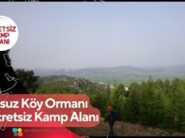 Susuz Köy Ormanı Ücretsiz Kamp Alanı