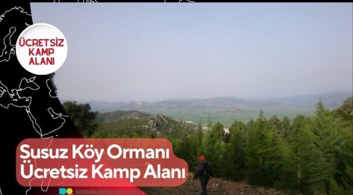 Susuz Köy Ormanı Ücretsiz Kamp Alanı Susuz Köy Ormanı Ücretsiz Kamp Alanı